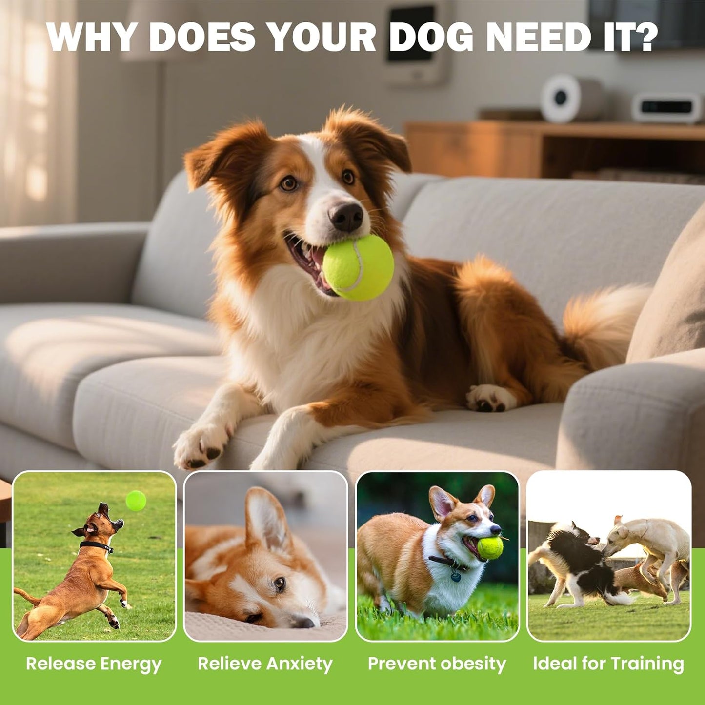 Tennis Balls, 12/24/36/80 Pack Bulk Tennis Balls Pressureless Tennis Ball, Come with Mesh Bag for Easy Transport,Pet Dog Playing Balls, Good for Beginner Training Ball